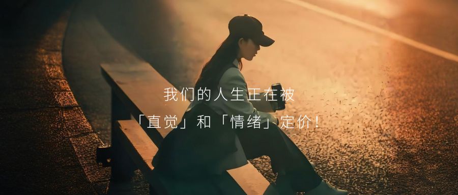 我们的人生正在被「直觉」和「情绪」定价！