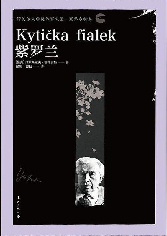 《紫罗兰》